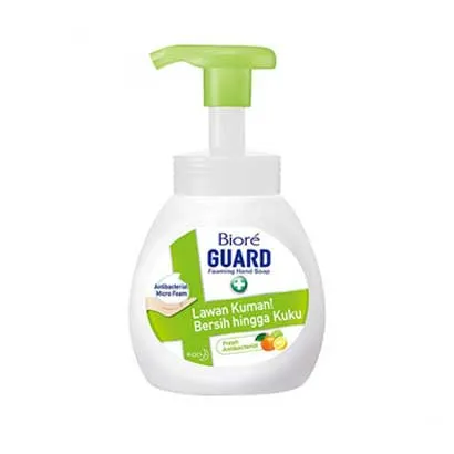 Biore Guard Foaming Hand soap Bottle: Fresh Antibacterial 250 ml